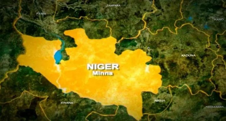 Mad man arrested for stabbing man to death in Niger